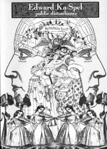 Public Disturbance cover