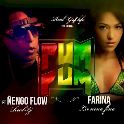 Pum pum cover