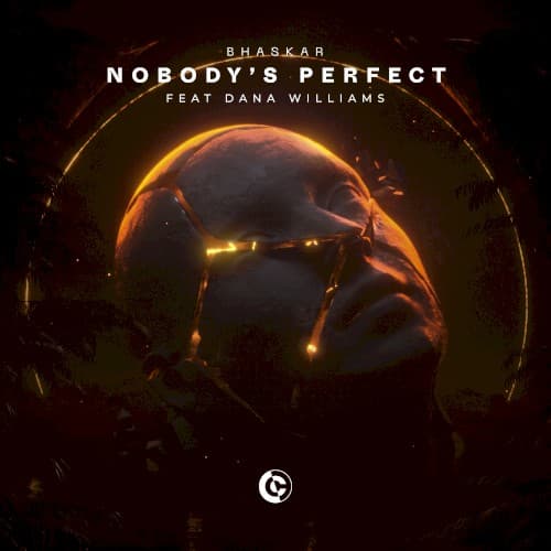 Nobody's Perfect cover