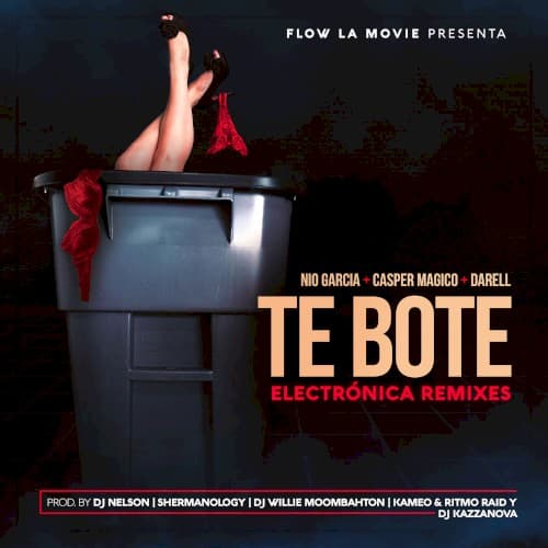 Te boté (electrónica remixes) cover