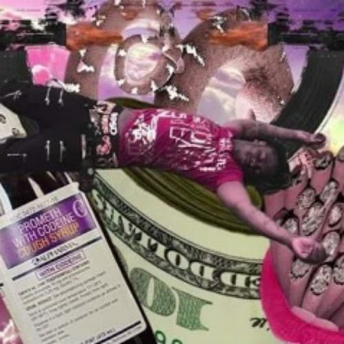 Trap Registration cover