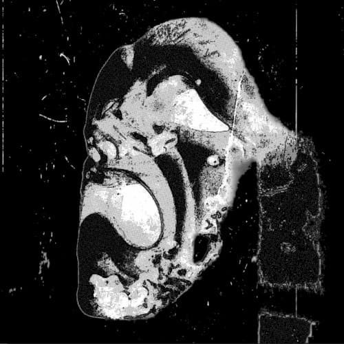 Big Fi Dem (asáu Bootleg) cover