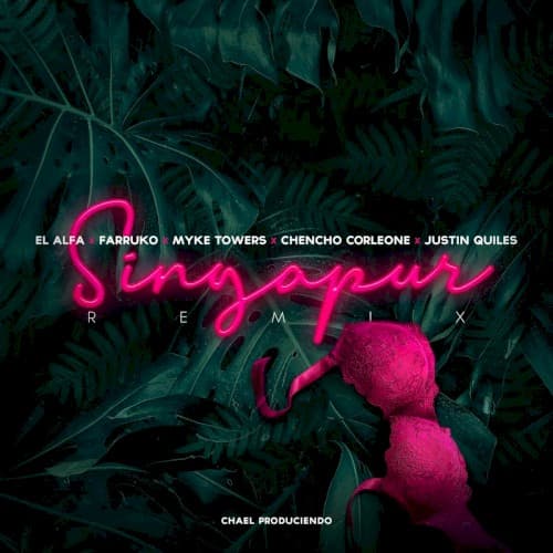 Singapur (remix) cover