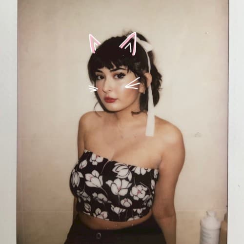 kitty cover