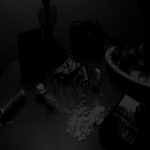 Tr4p4rt cover