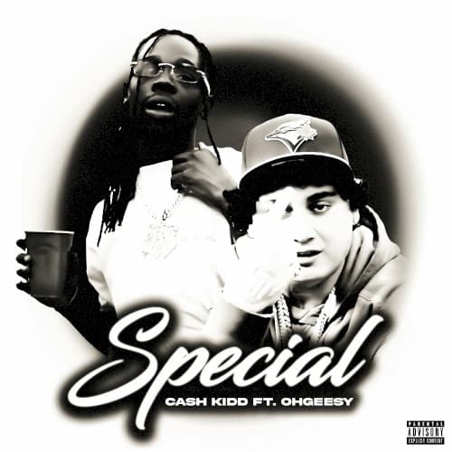 Special cover