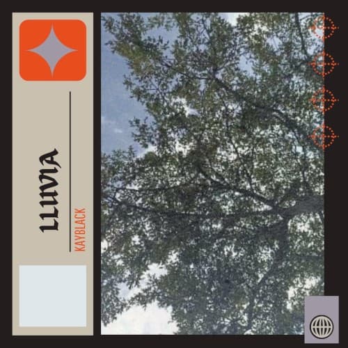Lluvia cover