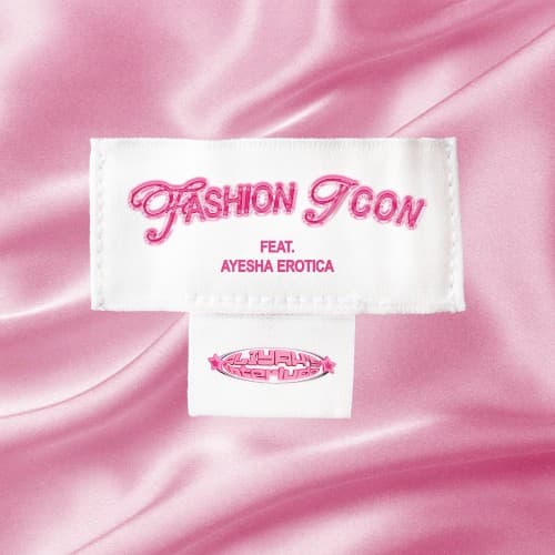 Fashion Icon cover