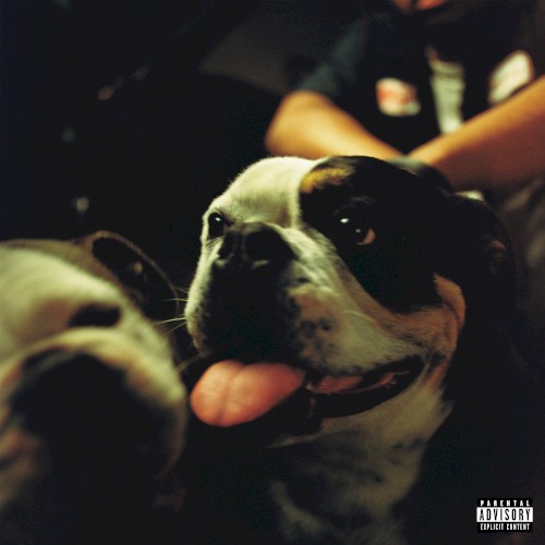 TEST ME cover