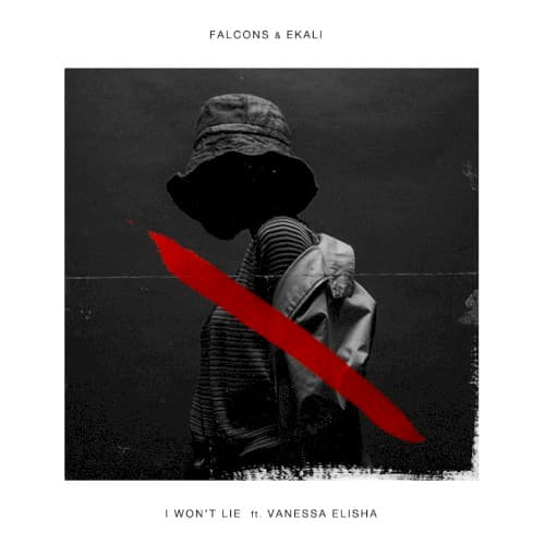 I Won't Lie cover