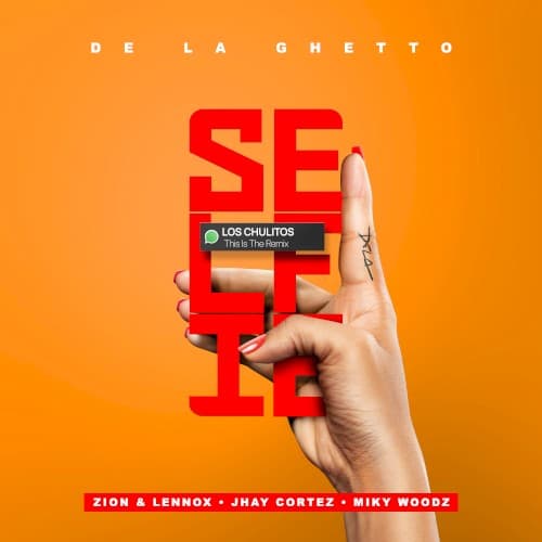 Selfie (remix) cover