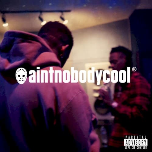AINT NOBODY COOL cover