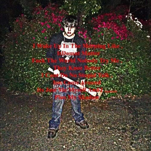 My Shadow cover