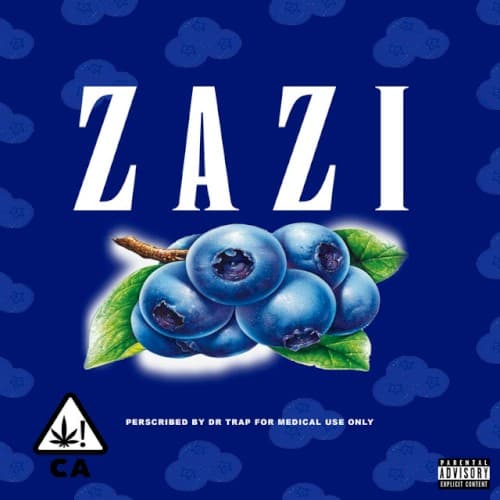 ZAZI cover