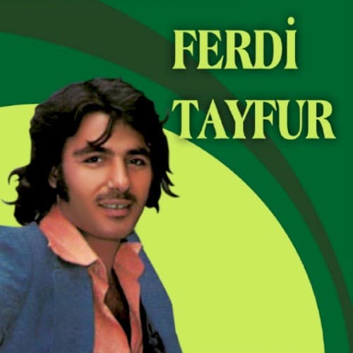 Birini Arıyorum cover