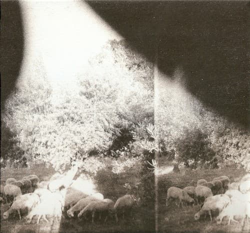 ‘Asunder, Sweet and Other Distress’ album cover
