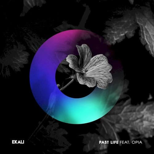 Past Life cover