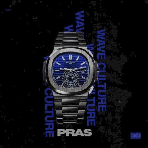 Wave Culture cover