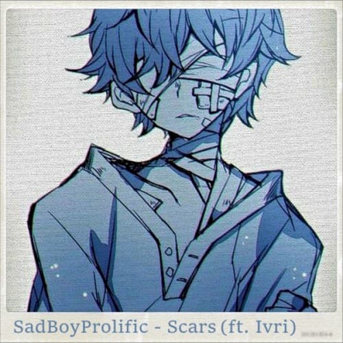 Scars cover