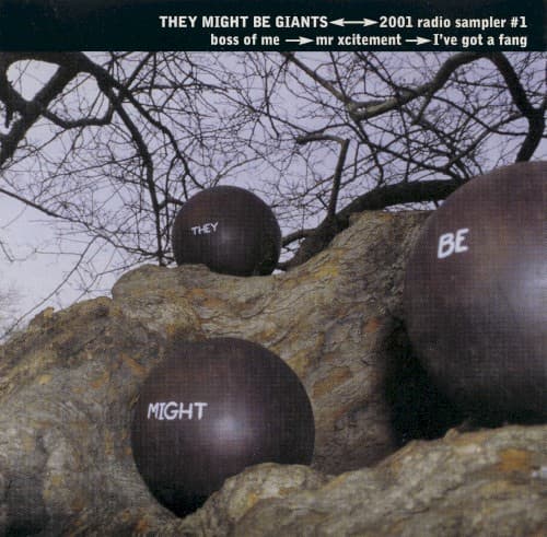 2001 Radio Sampler No. 1 cover