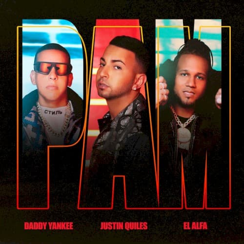PAM cover