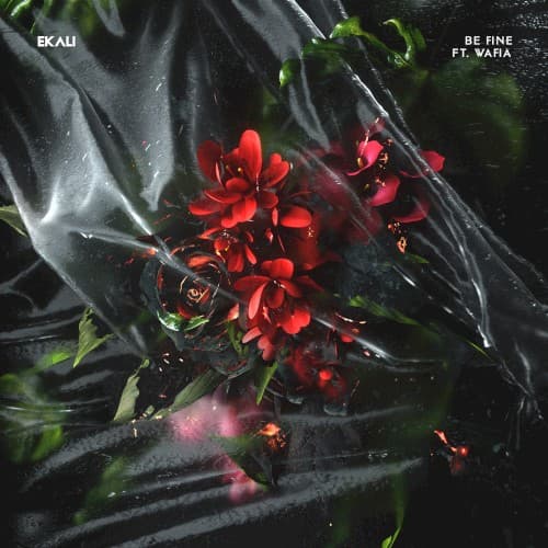 Be Fine cover