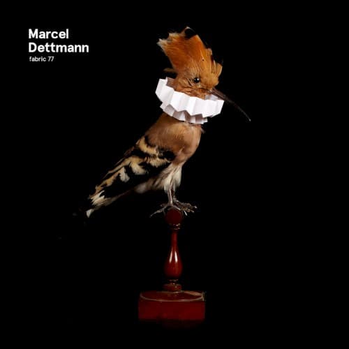 Fabric 77: Marcel Dettmann cover