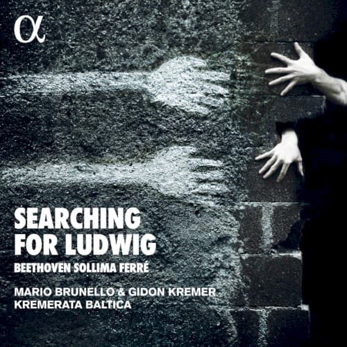 Searching for Ludwig cover