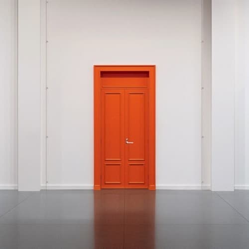 The Door cover