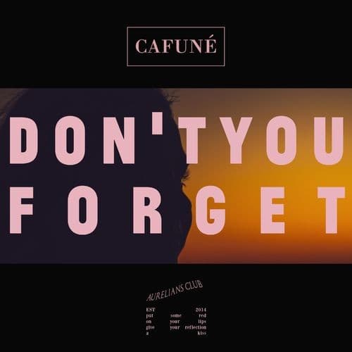 Don't You Forget cover