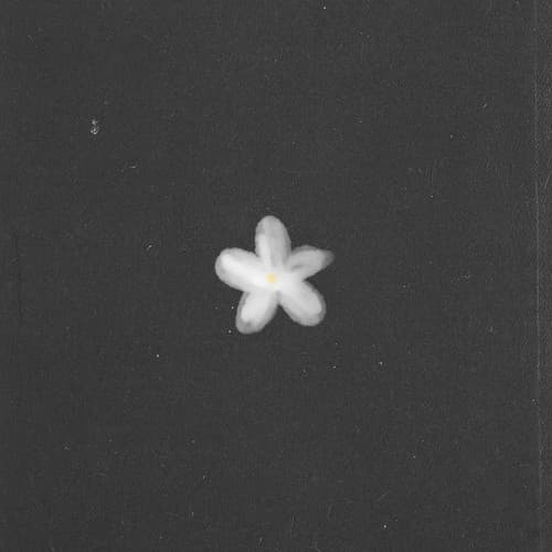 Sampaguita cover