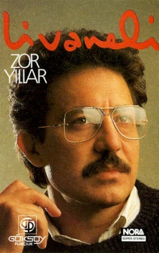 Zor Yıllar cover