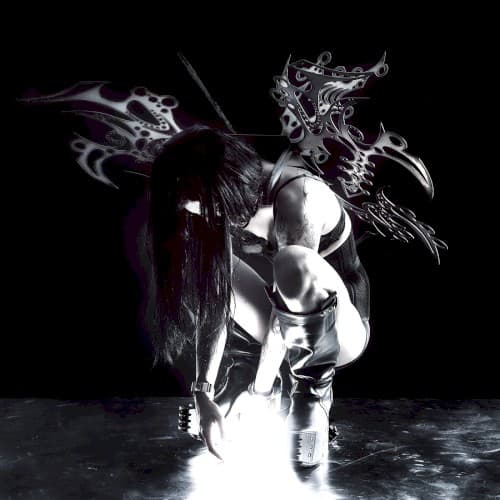 Wings cover