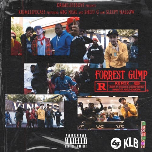 Forrest Gump (remix) cover