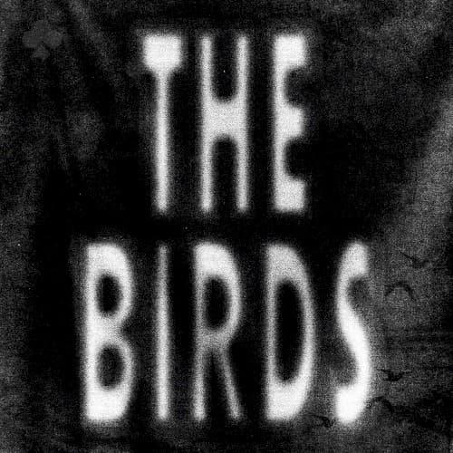 The Birds cover