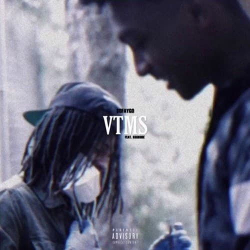VTMS cover