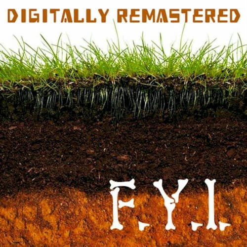 F.Y.I. cover