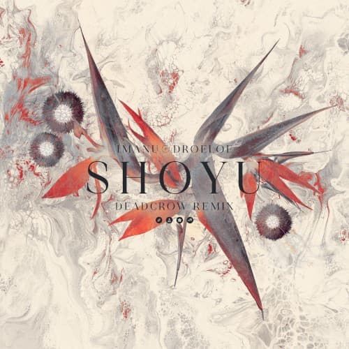 Shoyu (Deadcrow remix) cover