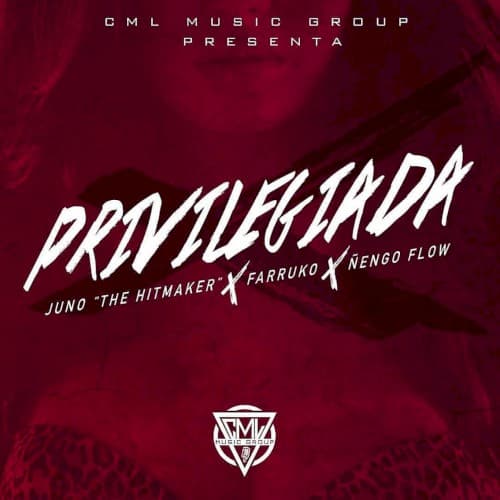 Privilegiada cover