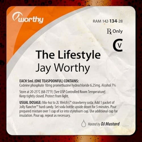The Lifestyle cover