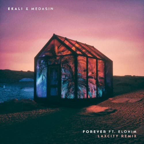 Forever (Laxcity remix) cover