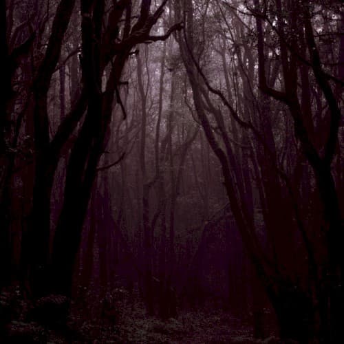 Sleepless Nights cover