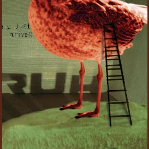 01 cover