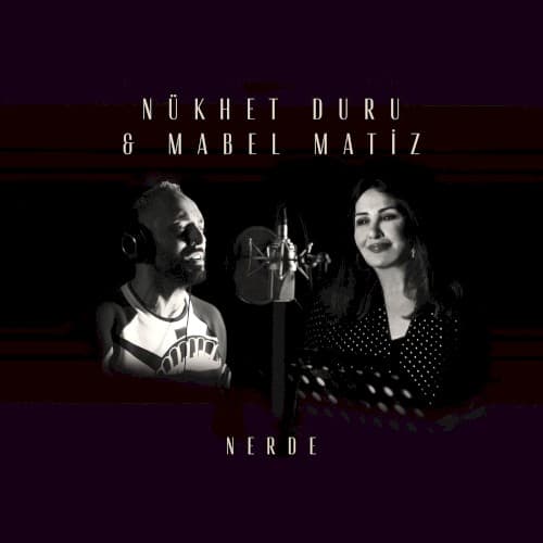 Nerde cover