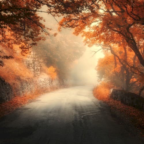Yancey County cover