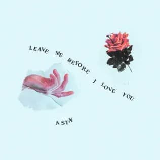 Leave Me Before I Love You cover
