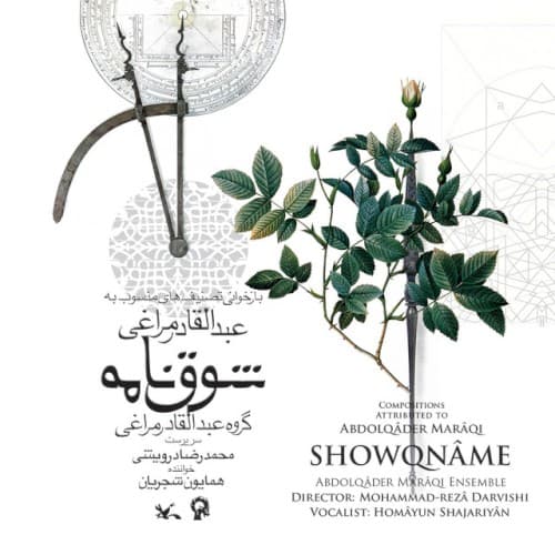 Showqname (Deluxe Edition) cover