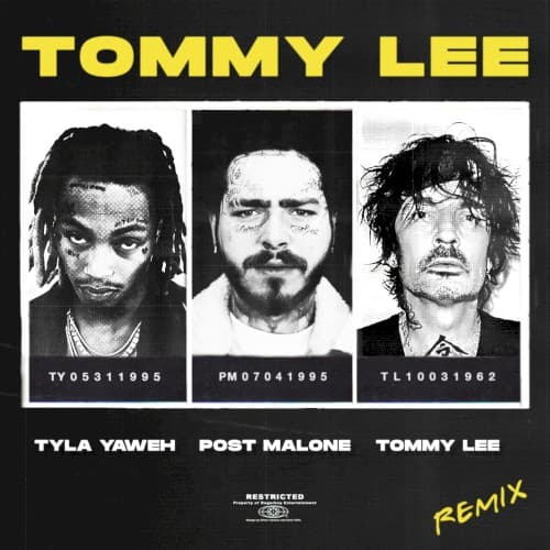 Tommy Lee (Tommy Lee Remix) cover