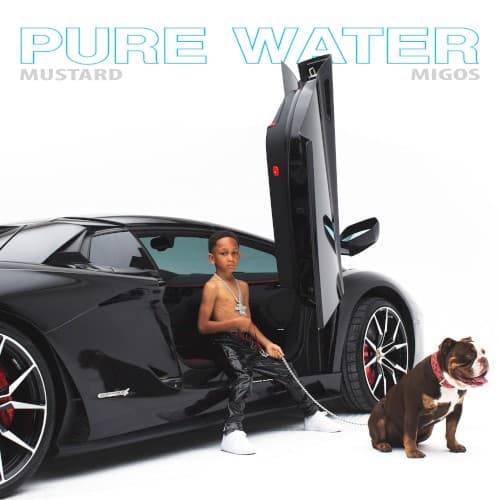 Pure Water cover