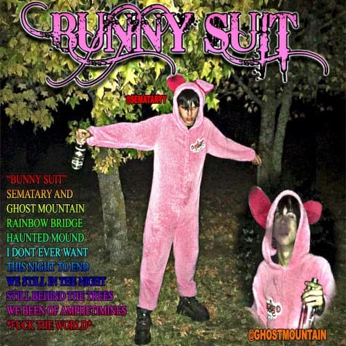 Bunny Suit cover